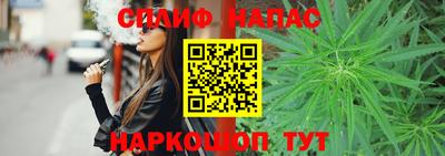 сатива Будённовск