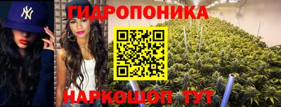 гашик Бугуруслан
