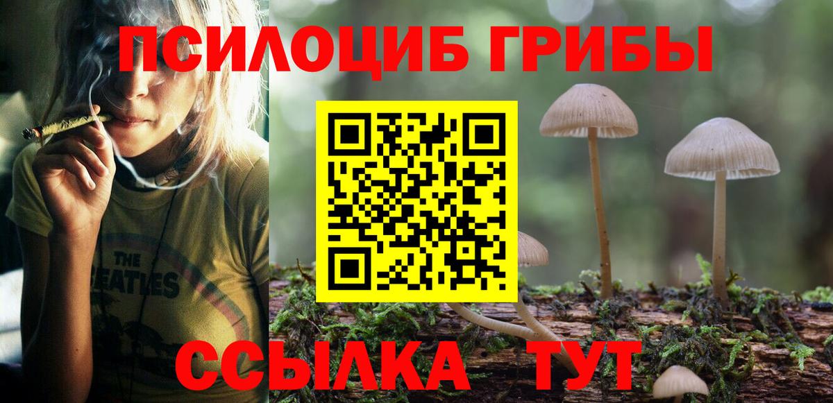 Псилоцибиновые грибы Magic Shrooms Сарапул